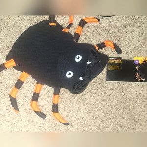 Halloween Spider Dog Costume - Black and Orange